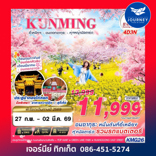 KUNMING  อี้เหลียง - ชมซากุระ - ทุ่งหญ้ามัสตาร์ด  4D3N