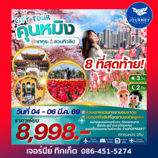 CITY TOUR KUNMING คุนหมิง ชมซากุระ+ทิวลิป 3วัน 2คืน พักคุนหมิง 2 คืน