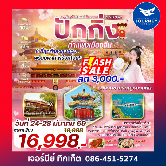 Beijing Sakura blossom  ปักกิ่ง ชมซากุระบานสะพรั่ง เช็กอิน Sugar Bar Café วิวเมืองย้อนยุค 5 วัน 3 คืน