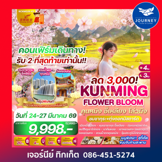 คุนหมิง อี้เหลียง โล่วผิง 4วัน 3คืน (ชมซากุระ+ทุ่งดอกมัสตาร์ด)