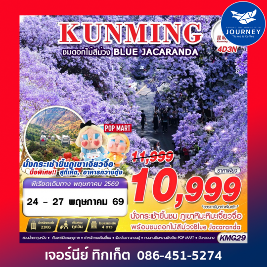 KUNMING ภูเขาหิมะเจี้ยวจื่อ - ดอกไม้สีม่วง Blue Jacaranda  4D3N