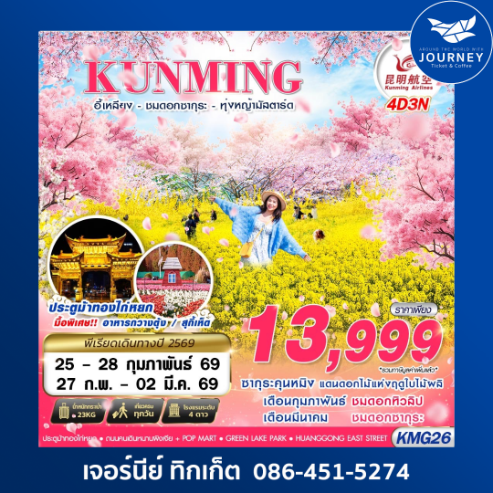 KUNMING  อี้เหลียง - ชมซากุระ - ทุ่งหญ้ามัสตาร์ด  4D3N