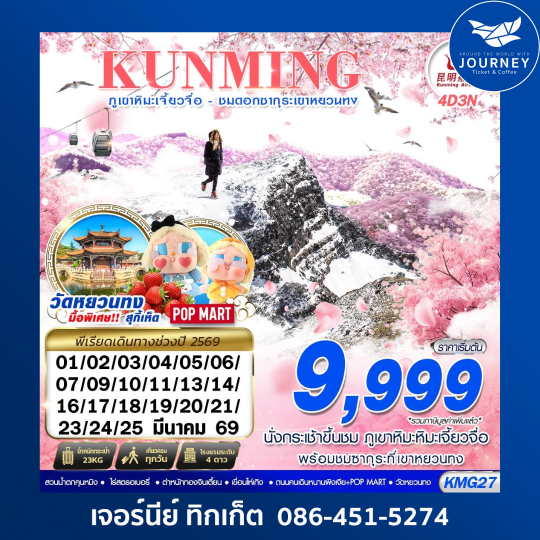 KUNMING ภูเขาหิมะเจี้ยวจื่อ - ชมดอกซากุระเขาหยวนทง 4D3N