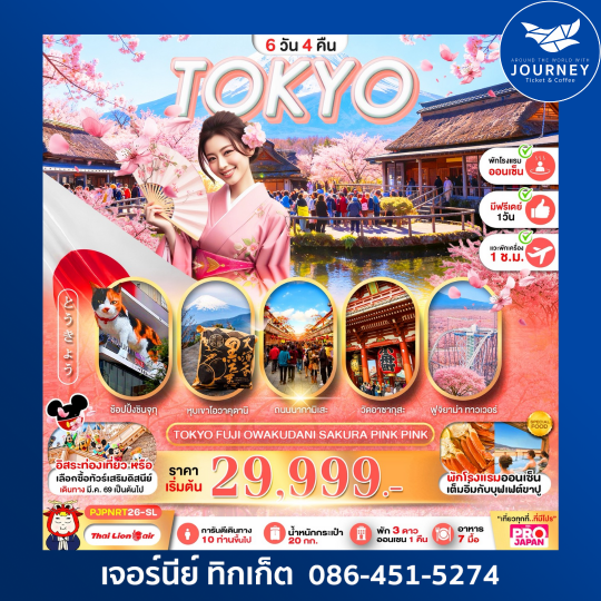 TOKYO FUJI OWAKUDANI SAKURA PINK PINK 6D4N