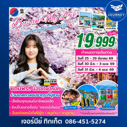 My Love on Mar 2026 เทศกาลจินแฮ ชมซากุระ 5วัน 3คืน