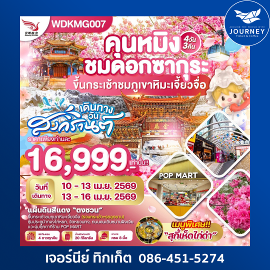 คุนหมิง ”ชมดอกซากุระบาน“ภูเขาหิมะเจี้ยวจื่อ แผ่นดินสีแดง 4วัน3คืน