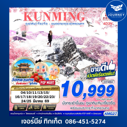 KUNMING ภูเขาหิมะเจี้ยวจื่อ - ชมดอกซากุระเขาหยวนทง 4D3N
