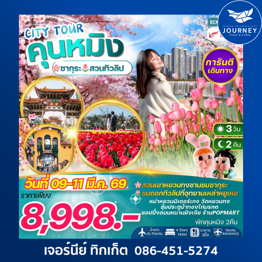 CITY TOUR KUNMING คุนหมิง ชมซากุระ+ทิวลิป 3วัน 2คืน พักคุนหมิง 2 คืน