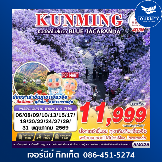 KUNMING ภูเขาหิมะเจี้ยวจื่อ - ดอกไม้สีม่วง Blue Jacaranda  4D3N