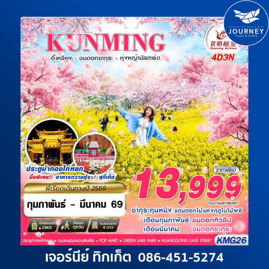 KUNMING  อี้เหลียง - ชมซากุระ - ทุ่งหญ้ามัสตาร์ด  4D3N
