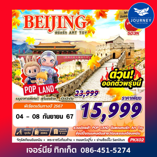 BEIJING เหมาลำบินลงต้าซิง พิชิตรัก ART TOY 5D3N