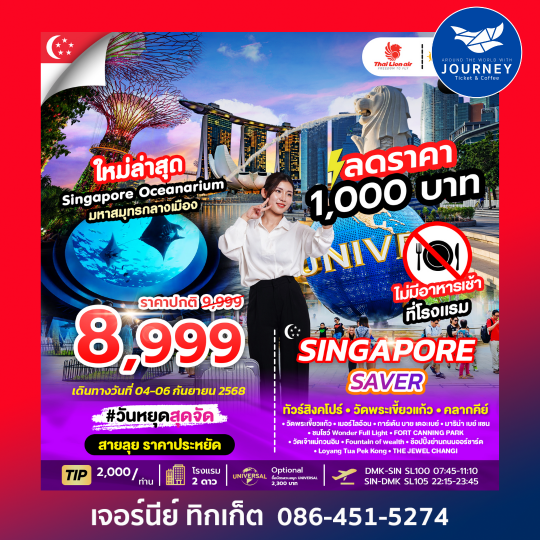 SINGAPORE SAVER 3D2N