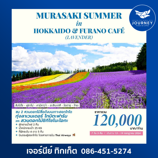 Murasaki Summer in Hokkaido Furano Cafe (Lavender) 7D5N