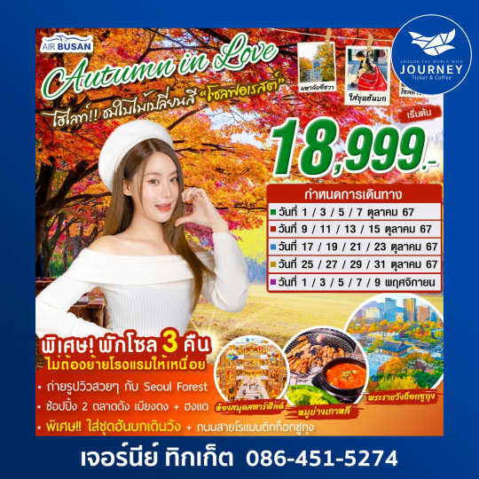 Autumn in love ชมใบไม้เปลี่ยนสี 5วัน 3คืน