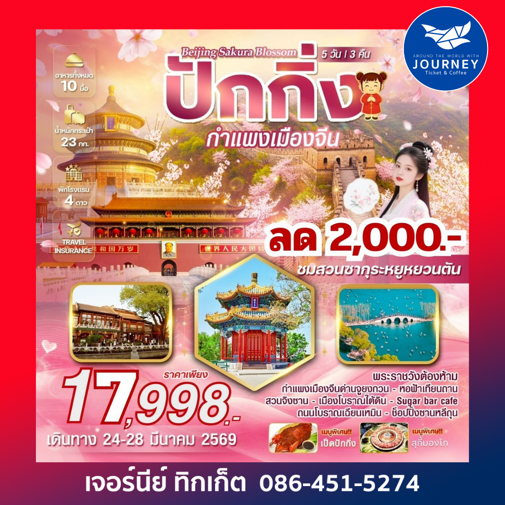 Beijing Sakura blossom  ปักกิ่ง ชมซากุระบานสะพรั่ง เช็กอิน Sugar Bar Café วิวเมืองย้อนยุค 5 วัน 3 คืน