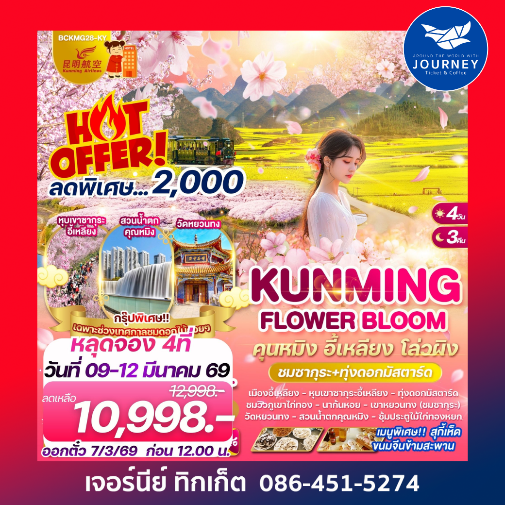 คุนหมิง อี้เหลียง โล่วผิง 4วัน 3คืน (ชมซากุระ+ทุ่งดอกมัสตาร์ด)