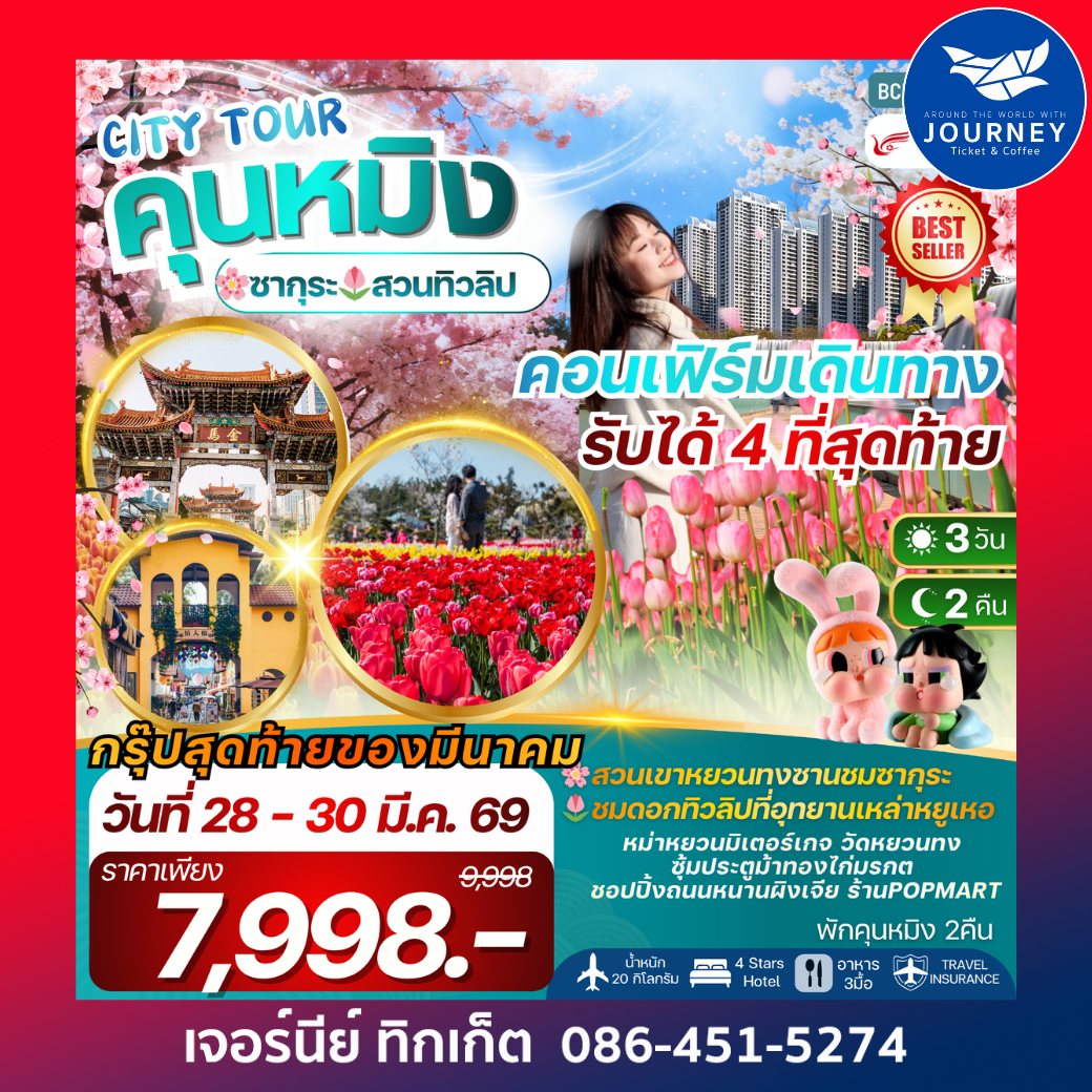 CITY TOUR KUNMING คุนหมิง ชมซากุระ+ทิวลิป 3วัน 2คืน พักคุนหมิง 2 คืน