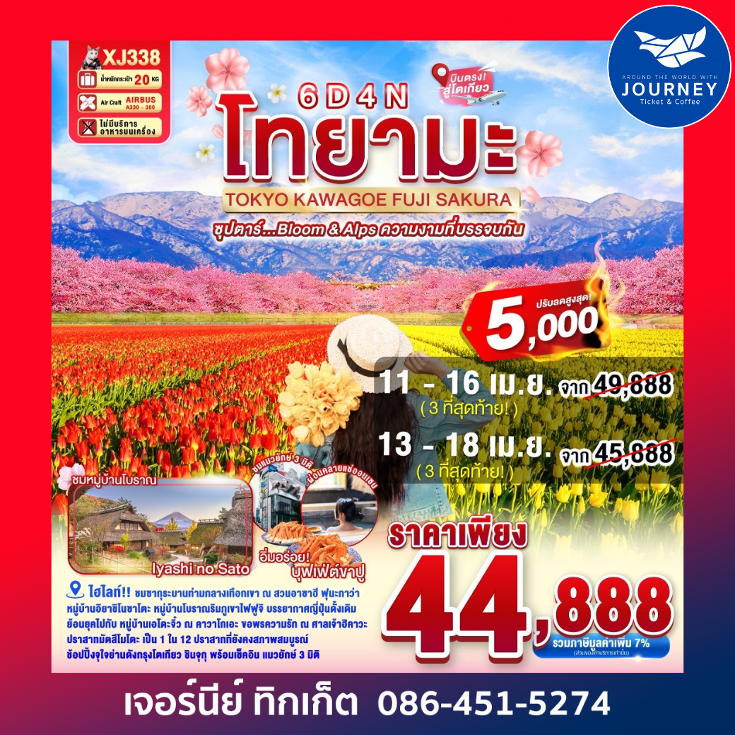 TOYAMA TOKYO KAWAGOE FUJI SAKURA 6D 4N
