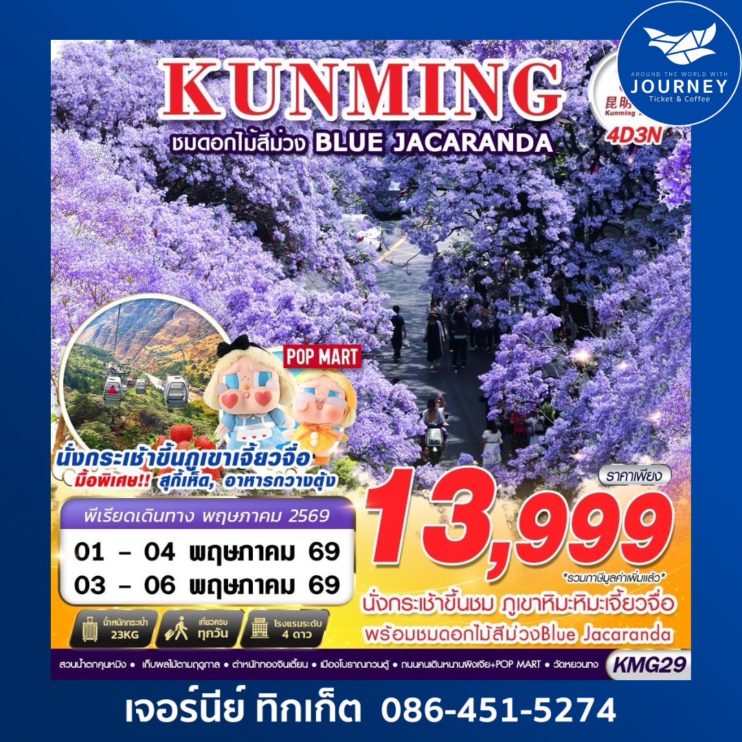 KUNMING ภูเขาหิมะเจี้ยวจื่อ - ดอกไม้สีม่วง Blue Jacaranda  4D3N