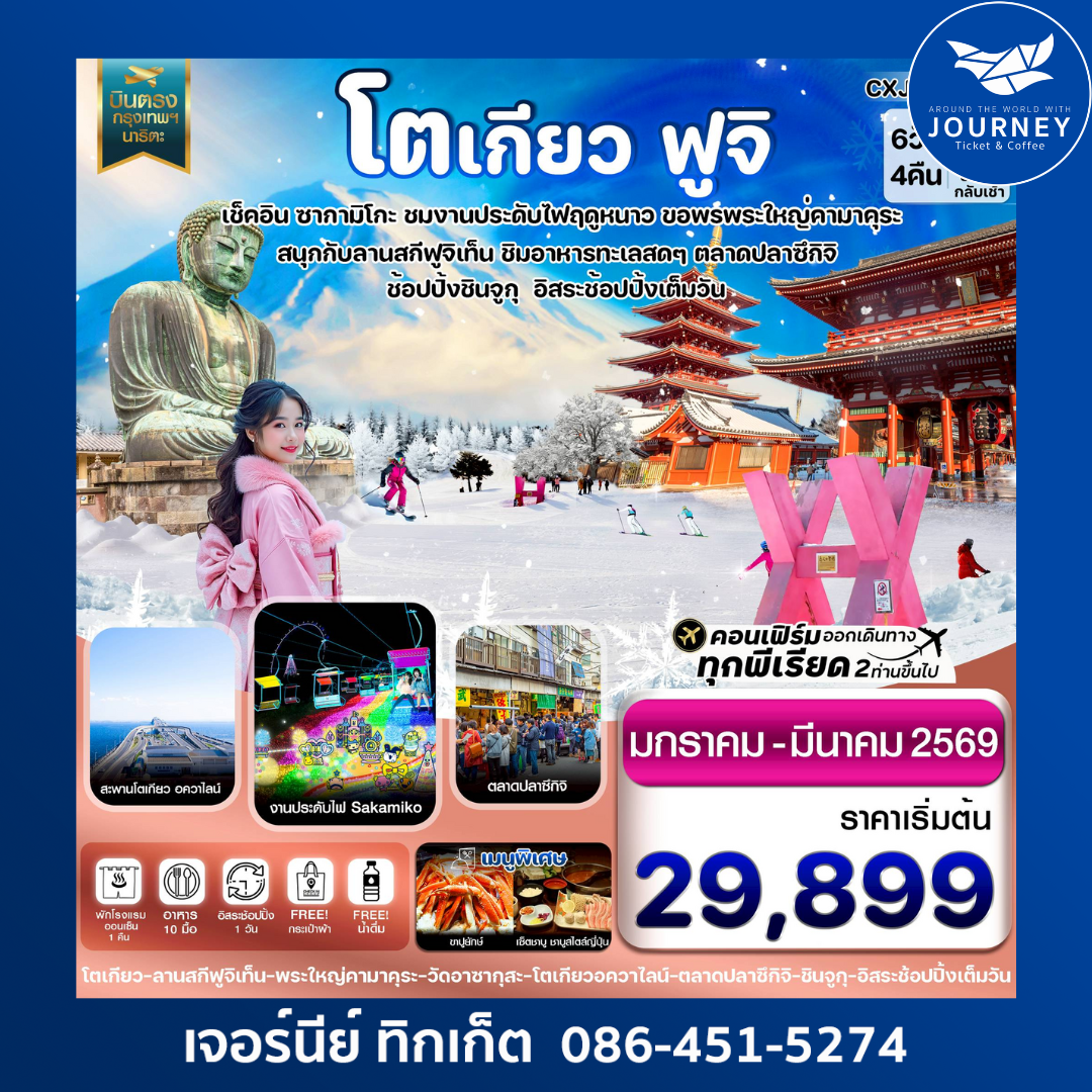 โตเกียว ฟูจิ งานประดับไฟ อิสระช้อปปิ้ง 1 วันเต็ม 6วัน 4คืน บิน VZ